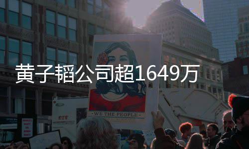 公韬公冻结黄子济业万存务常经司超司属正款被
